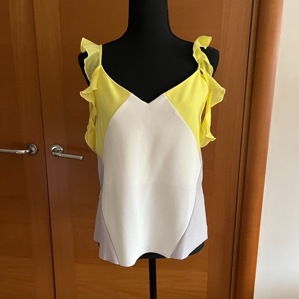 Zara Colorblock Camisole with Ruffle Straps Size S NWOT